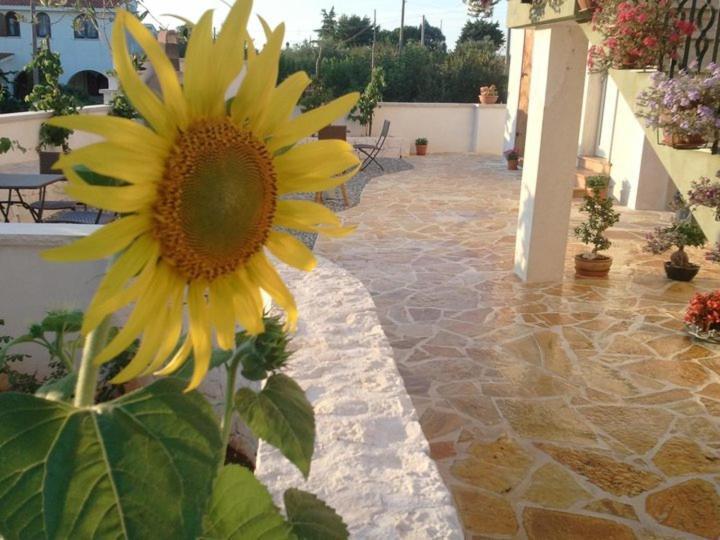 Art Rooms Joyful People Alberobello Bagian luar foto